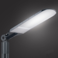 Brilagi - LED tänavavalgusti URBANLIGHT LED/250W/230V antratsiit IP65