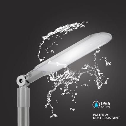 Brilagi - LED tänavavalgusti URBANLIGHT LED/250W/230V hall IP65