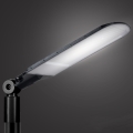 Brilagi - LED tänavavalgusti URBANLIGHT LED/250W/230V must IP65