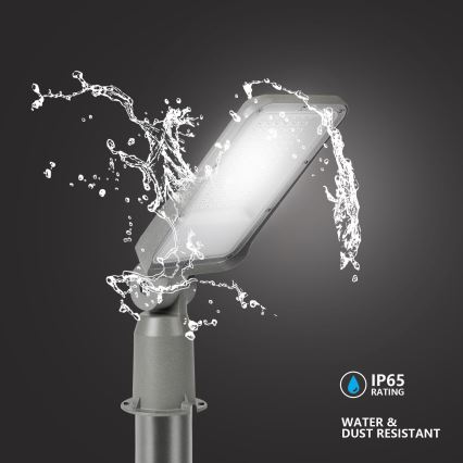 Brilagi - LED tänavavalgusti URBANLIGHT LED/50W/230V hall IP65