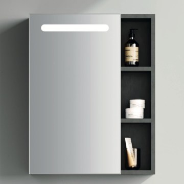BRILAGI - LED-taustvalgustusega peegliga vannitoakapp TRABIA SINGLE 60x70 cm