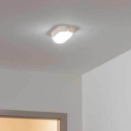 Brilagi - LED Tööstuslik laevalgusti SIMA LED/12W/230V IP65 valge