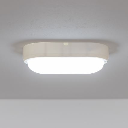 Brilagi - LED Tööstuslik laevalgusti SIMA LED/12W/230V IP65 valge