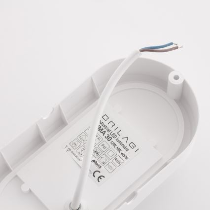 Brilagi - LED Tööstuslik laevalgusti SIMA LED/12W/230V IP65 valge