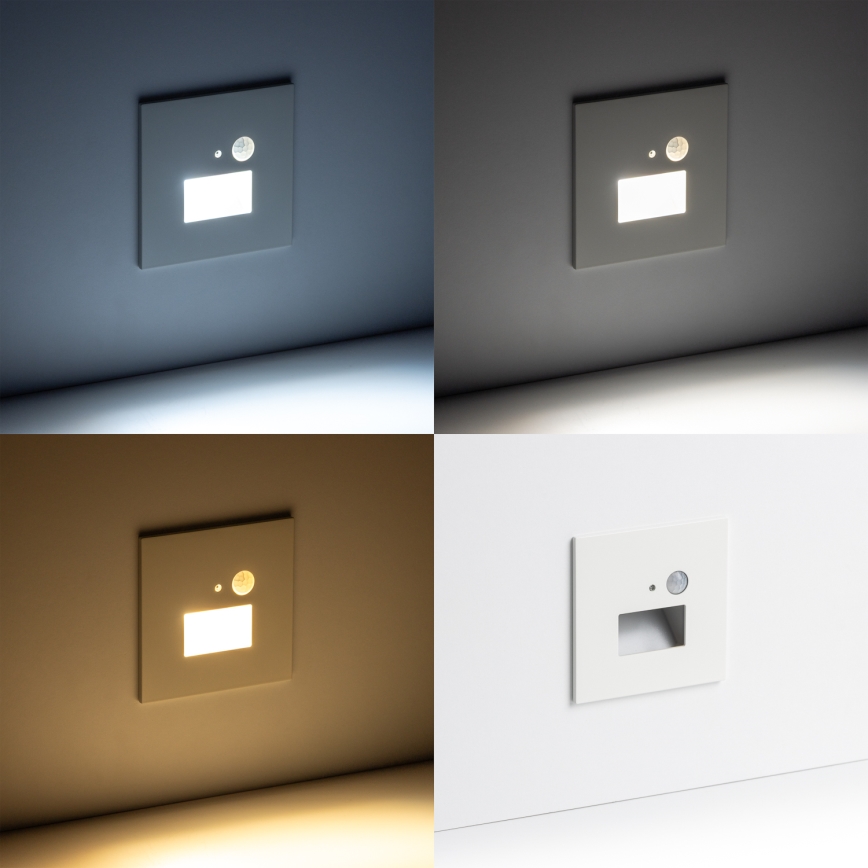 Brilagi - LED-trepivalgusti liikumis- ja hämarussensoriga JACK LED/1,5 W/230 V 3000/4000/6500 K valge