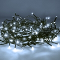Brilagi - LED Väli jõuluteemaline valguskett 100xLED/8 funktsiooni 13 m IP44 külm valge