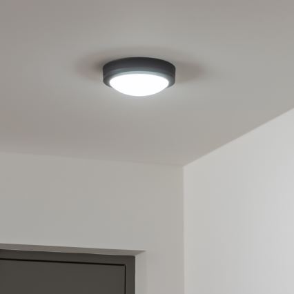 Brilagi - LEd Väli laevalgusti LED/13W/230V d. 17 cm IP54 antratsiit