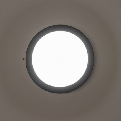Brilagi - LEd Väli laevalgusti LED/13W/230V d. 17 cm IP54 antratsiit