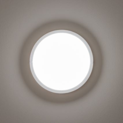 Brilagi - LEd Väli laevalgusti LED/13W/230V d. 17 cm IP54