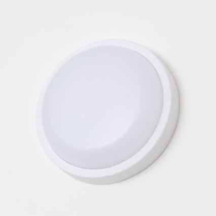 Brilagi - LEd Väli laevalgusti LED/13W/230V d. 17 cm IP54