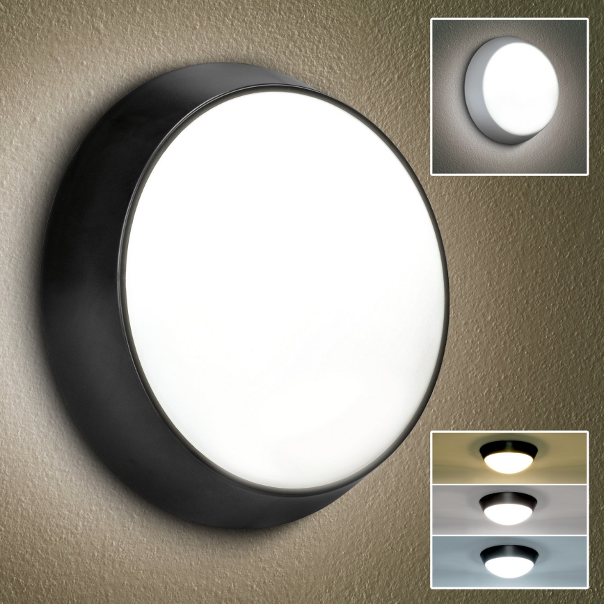 Brilagi - LED Väli seinavalgusti 2in1 BULKHEAD LED/20W/230V 3000/4000/6000K IP65