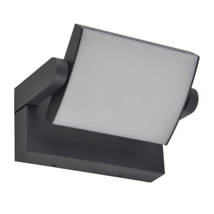 Brilagi - LED Väli seinavalgusti ANKLE LED/18W/230V 3000K IP65 antratsiit