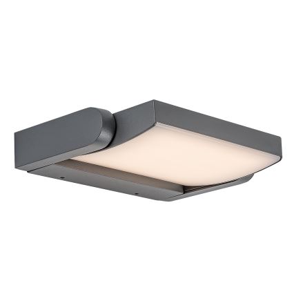 Brilagi - LED Väli seinavalgusti ANKLE LED/18W/230V 3000K IP65 antratsiit