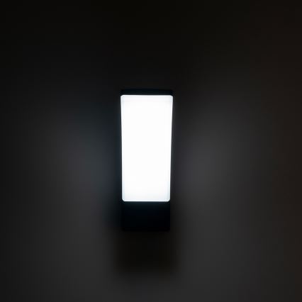 Brilagi - LED Väli seinavalgusti ARCELO LED/9W/230V IP44