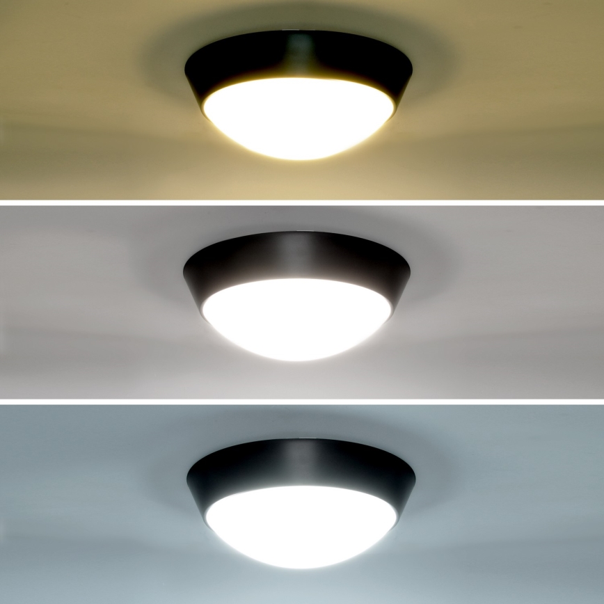 Brilagi - LED Väli seinavalgusti 2in1 BULKHEAD LED/20W/230V 3000/4000/6000K IP65