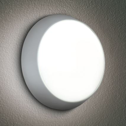 Brilagi - LED Väli seinavalgusti 2in1 BULKHEAD LED/20W/230V 3000/4000/6000K IP65