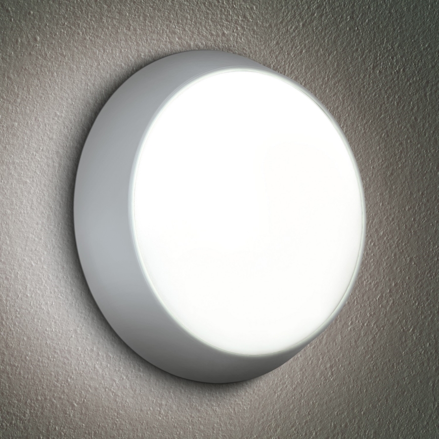 Brilagi - LED Väli seinavalgusti 2in1 BULKHEAD LED/20W/230V 3000/4000/6000K IP65