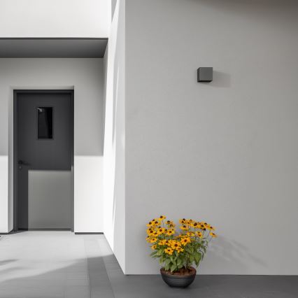 Brilagi - LED Väli seinavalgusti CUBE LED/6W/230V antratsiit IP54