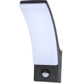 Brilagi - LED Väli seinavalgusti koos anduriga ARCELO LED/9W/230V IP44