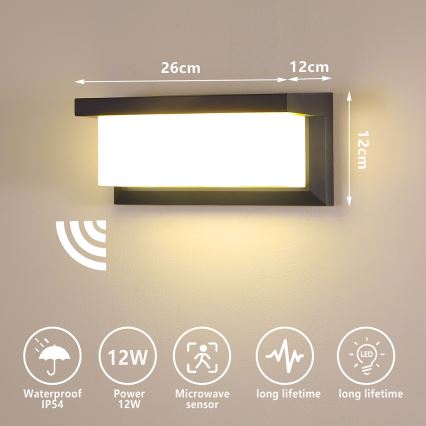 Brilagi - LED Väli seinavalgusti koos anduriga BRICKY LED/12W/230V antratsiit IP54