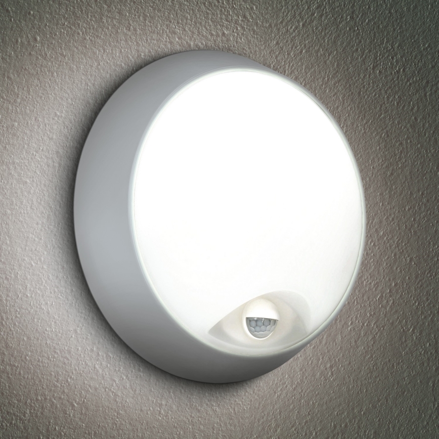 Brilagi - LED Väli seinavalgusti koos anduriga 2in1 BULKHEAD LED/20W/230V IP65