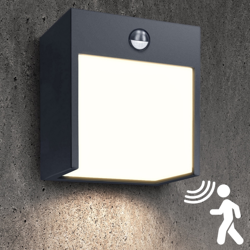 Brilagi - LED Väli seinavalgusti koos anduriga TERNI LED/12W/230V antratsiit IP44
