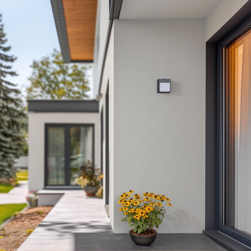 Brilagi - LED Väli seinavalgusti koos anduriga TERNI LED/12W/230V antratsiit IP44