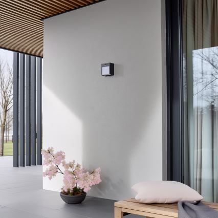 Brilagi - LED Väli seinavalgusti koos anduriga TERNI LED/12W/230V antratsiit IP44