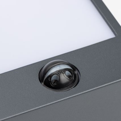 Brilagi - LED Väli seinavalgusti koos anduriga TERNI LED/12W/230V antratsiit IP44