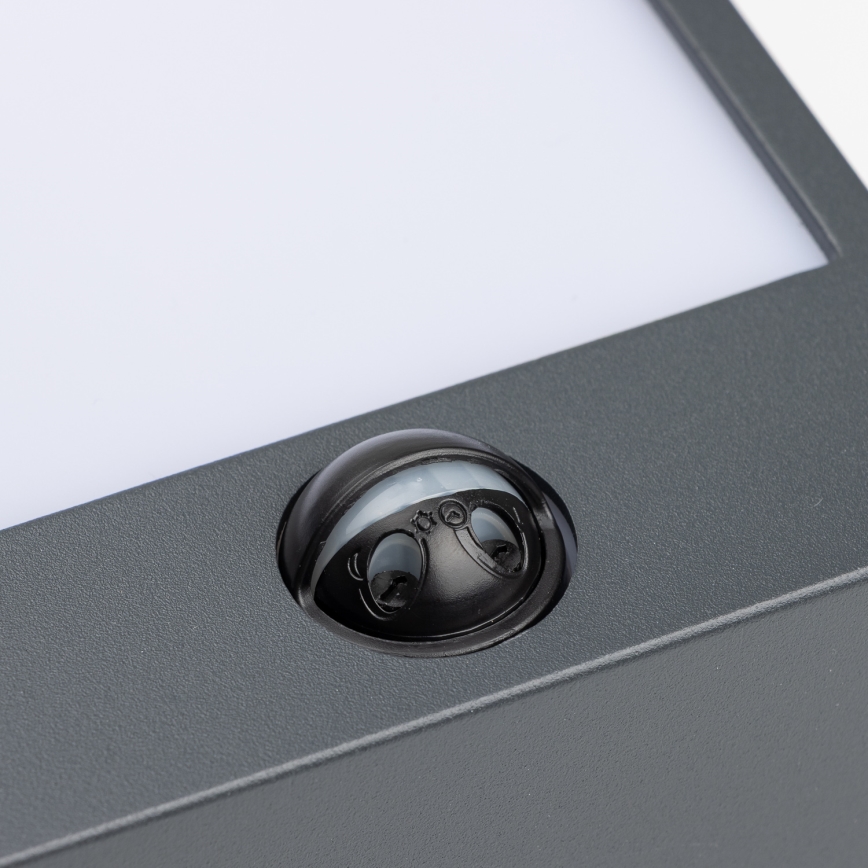 Brilagi - LED Väli seinavalgusti koos anduriga TERNI LED/12W/230V antratsiit IP44