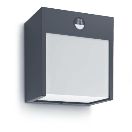 Brilagi - LED Väli seinavalgusti koos anduriga TERNI LED/12W/230V antratsiit IP44