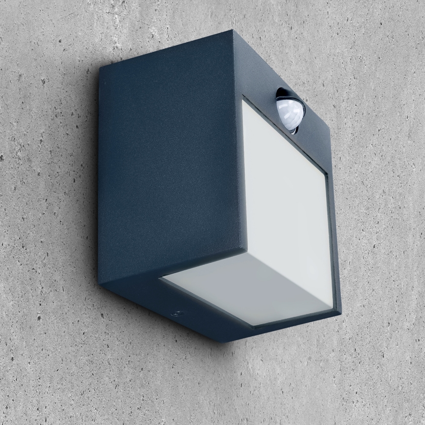 Brilagi - LED Väli seinavalgusti koos anduriga TERNI LED/12W/230V antratsiit IP44