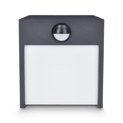 Brilagi - LED Väli seinavalgusti koos anduriga TERNI LED/12W/230V antratsiit IP44