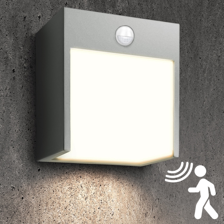 Brilagi - LED Väli seinavalgusti koos anduriga TERNI LED/12W/230V hall IP44