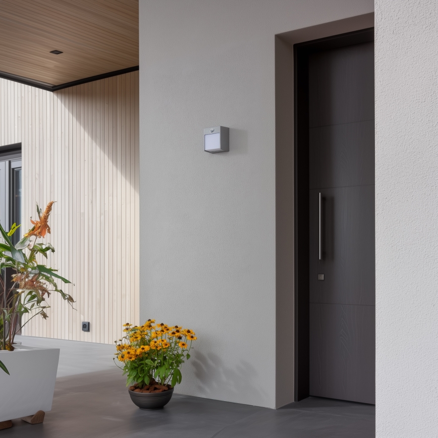 Brilagi - LED Väli seinavalgusti koos anduriga TERNI LED/12W/230V hall IP44