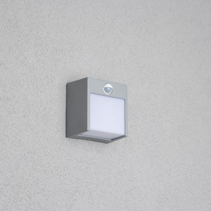 Brilagi - LED Väli seinavalgusti koos anduriga TERNI LED/12W/230V hall IP44