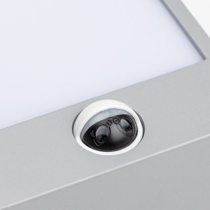 Brilagi - LED Väli seinavalgusti koos anduriga TERNI LED/12W/230V hall IP44