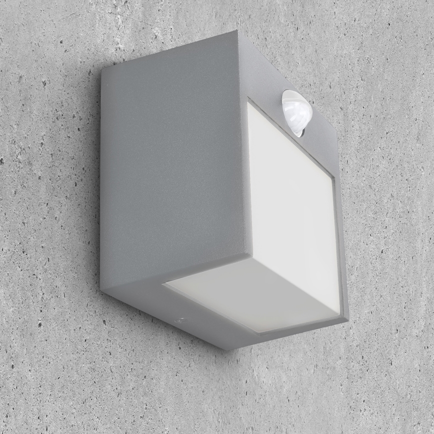 Brilagi - LED Väli seinavalgusti koos anduriga TERNI LED/12W/230V hall IP44