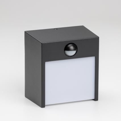 Brilagi - LED Väli seinavalgusti koos anduriga TERNI LED/12W/230V must IP44