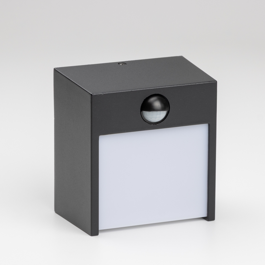 Brilagi - LED Väli seinavalgusti koos anduriga TERNI LED/12W/230V must IP44