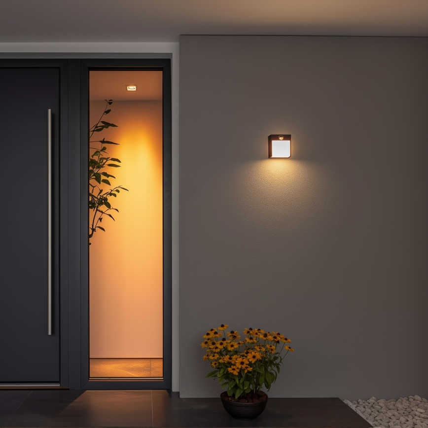 Brilagi - LED Väli seinavalgusti koos anduriga TERNI LED/12W/230V must IP44