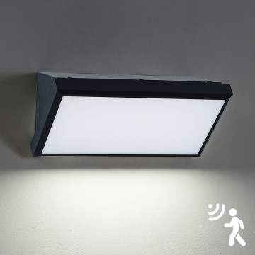 Brilagi - LED Väli seinavalgusti koos anduriga TRIANGLE LED/20W/230V IP65