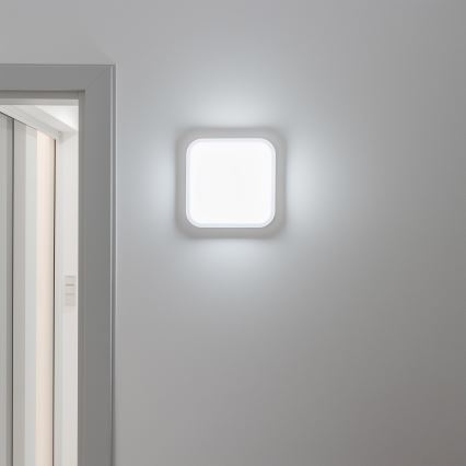 Brilagi - LED Väli seinavalgusti LED/20W/230V IP54