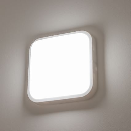 Brilagi - LED Väli seinavalgusti LED/20W/230V IP54