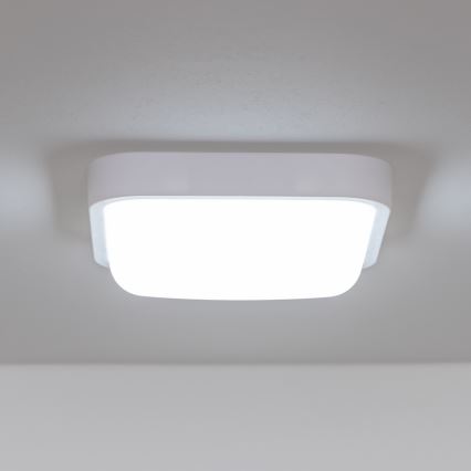 Brilagi - LED Väli seinavalgusti LED/20W/230V IP54