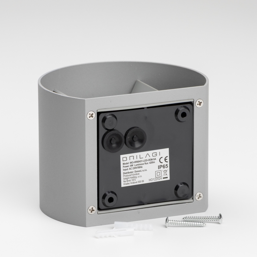 Brilagi - LED Väli seinavalgusti RONDO LED/6W/230V hall IP54