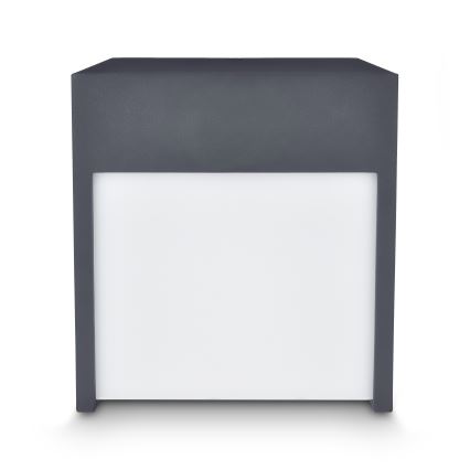 Brilagi - LED Väli seinavalgusti TERNI LED/12W/230V antratsiit IP44