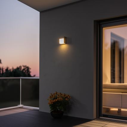 Brilagi - LED Väli seinavalgusti TERNI LED/12W/230V hall IP44