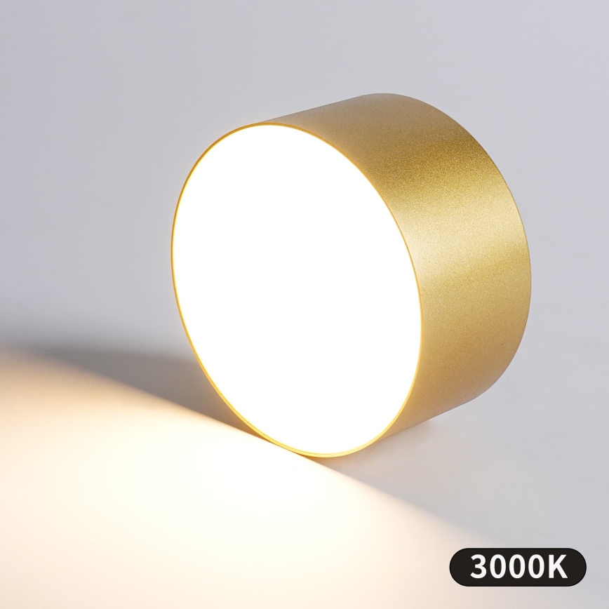 BRILAGI - LED välislaelamp FORIS LED/14W/230V läbimõõt 12 cm kuldne IP44