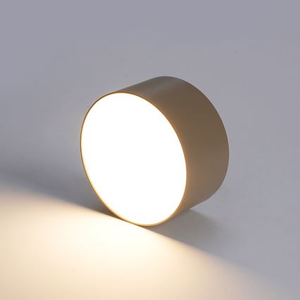BRILAGI - LED Välitingimustele mõeldud laevalgusti FORIS LED/20W/230V Ø 15 cm beež IP44